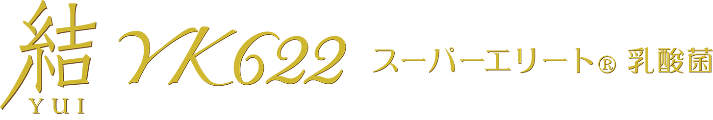 「結」YK622 スーパーエリートスーパーエリート®乳酸菌